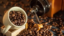 Giá cà phê hôm nay 27/9/2023: Giá cà phê điều chỉnh tăng trên các thị trường, robusta có khả năng hồi phục trong tuần này?