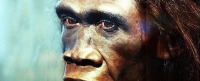 Tìm thấy bằng chứng mới về cái chết bí ẩn của tổ tiên loài người