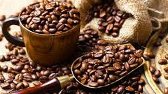 Giá cà phê hôm nay 1/9/2024: Giá cà phê robusta nóng 'hừng hực', nhà nhập khẩu châu Âu chạy đua với Quy định EUDR