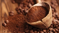 Giá cà phê hôm nay 16/4/2024: Giá cà phê tăng 'hừng hực', trong nước tăng 3.000 đồng/kg, chuyên gia dự báo về điểm dừng?