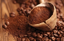 Giá cà phê hôm nay 20/4/2023: Giá robusta tiếp tục tăng, thị trường Trung Quốc trở lại, triển vọng tiêu thụ chuyển 'tích cực'