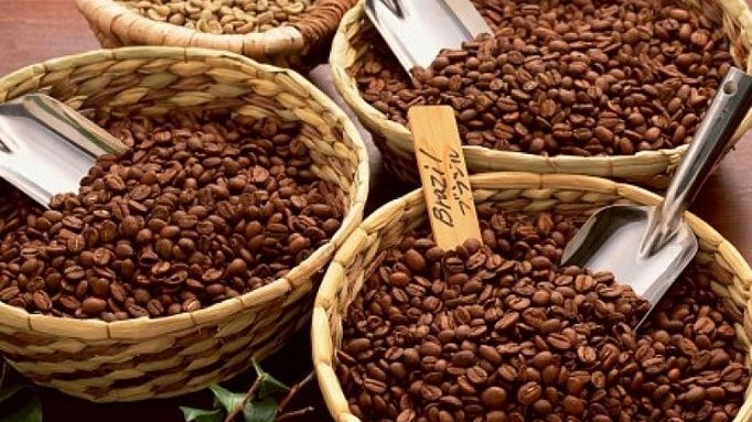Giá cà phê hôm nay 11/3: Giá cà phê robusta mất 10% sau 8 phiên, lý do lực mua áp đảo