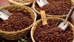 Giá cà phê hôm nay 17/12: Thị trường cà phê tăng giảm trái chiều, Mỹ giảm nhập khẩu tiêu từ Việt Nam
