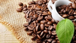 Giá cà phê hôm nay 30/12: Cà phê trước áp lực giảm giá, dư cung; Giá hồ tiêu chịu thiệt hại kép