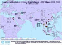 tieu huy 15000 con ga giong khong ro xuat xu