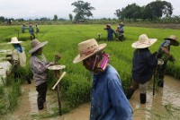 ra mat chuong trinh ho tro nong dan phat trien san xuat