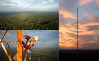 8000km2 dien tich rung amazon bi tan pha trong nam 2016