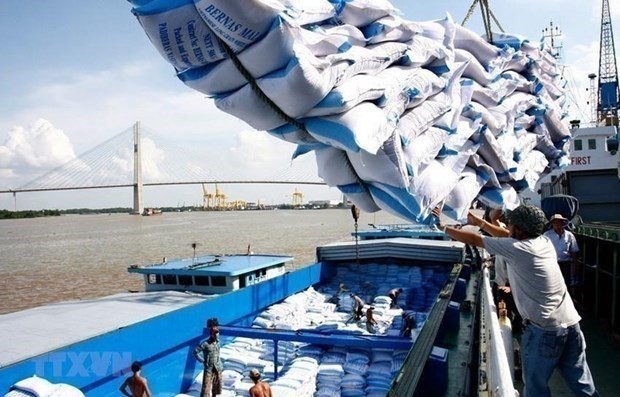 Mekong Delta eyes larger premium-quality rice areas to boost exports