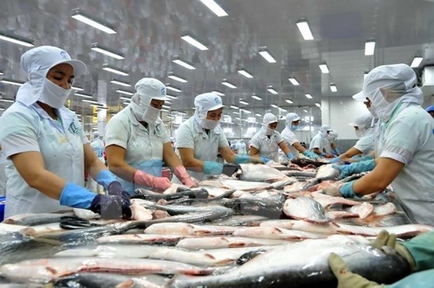 Huge demand in new markets for Vietnam’s tra fish exports