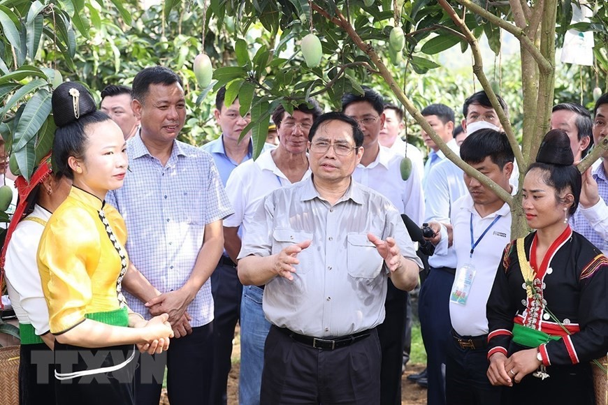 Prime Minister makes field trip to major strategic projects in Son La