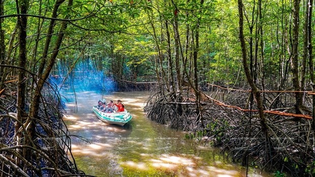 Wetlands conservation important as nearly 40 percent of Vietnam’s landmass