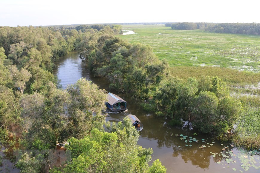 Wetlands conservation important as nearly 40 percent of Vietnam’s landmass