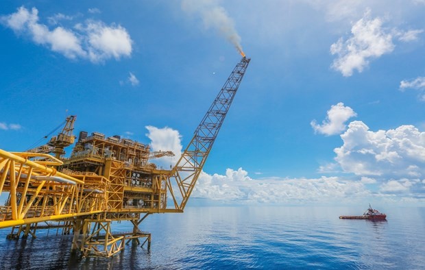 Experts support a comprehensive reform for draft revised Petroleum Law