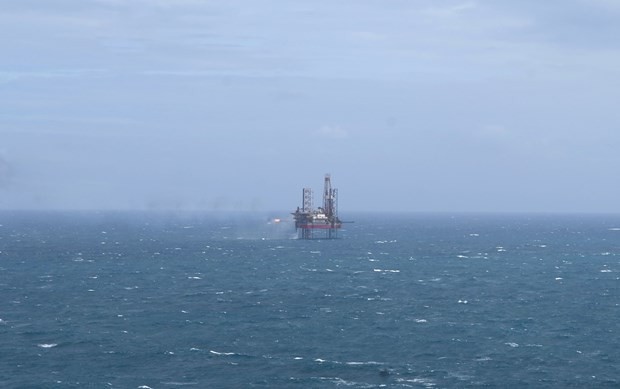 Experts support a comprehensive reform for draft revised Petroleum Law