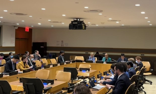 Vietnam co-chairs consultation on UNGA draft resolution epidemic preparedness