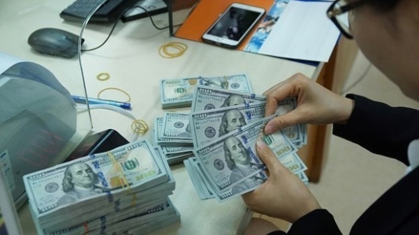 Reference exchange rate up 10 VND