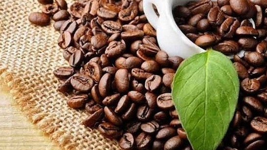 Vietnam sees more chances for coffee exports to the US