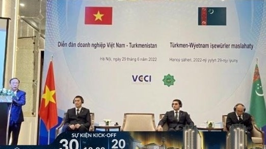 Vietnamese, Turkmenistan firms enhance business cooperation