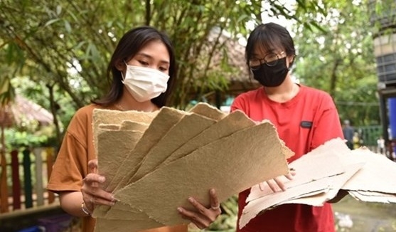 HCM City’s zoo makes eco-friendly paper from elephant waste