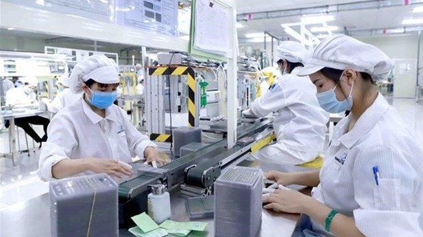 Resilient firms see good chance to bounce back: Vietnam Report