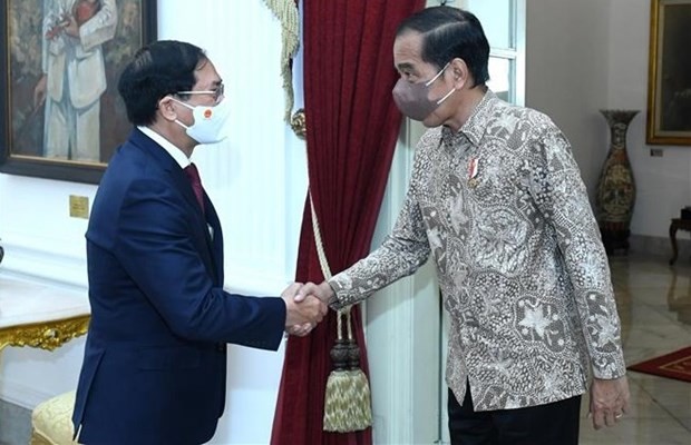 Vietnamese Foreign Minister meets with Indonesian President