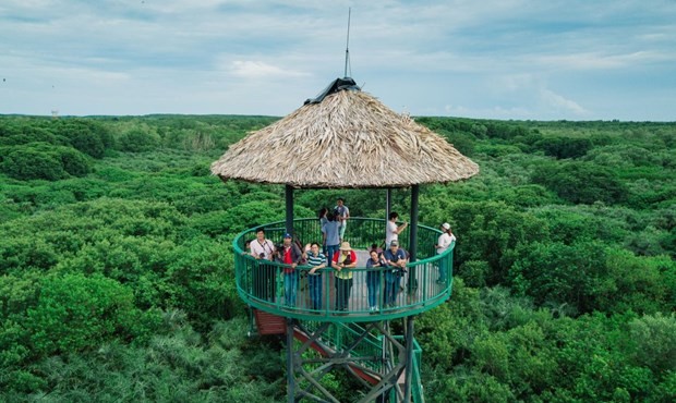 HCM City's Can Gio mangrove forest - an eco-friendly oasis