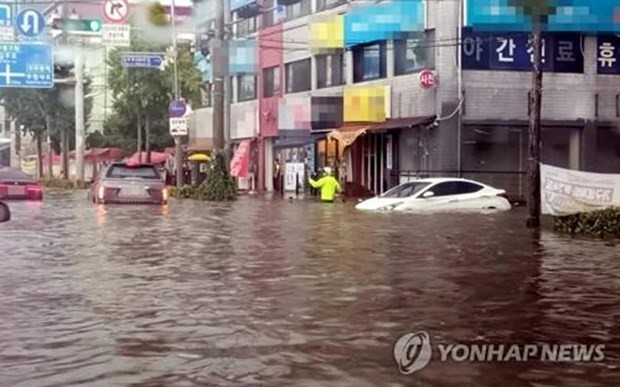 Vietnam extended sympathy to RoK over serious losses caused by floods