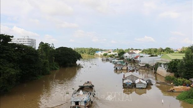 Authorities working to protect Vietnamese citizens tricked to work illegally in Cambodia: Spokesperson