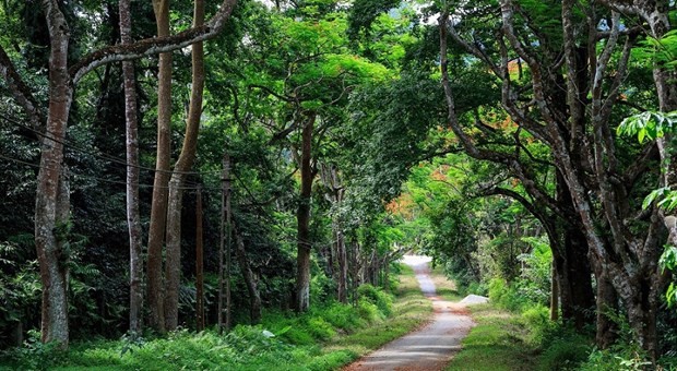 France helps Vietnam with heritage conservation