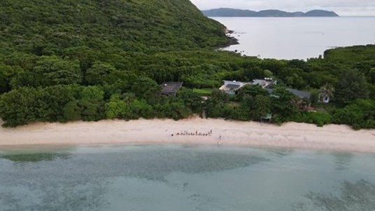 Near 123,000 sea turtles released back into ocean from Con Dao National Park