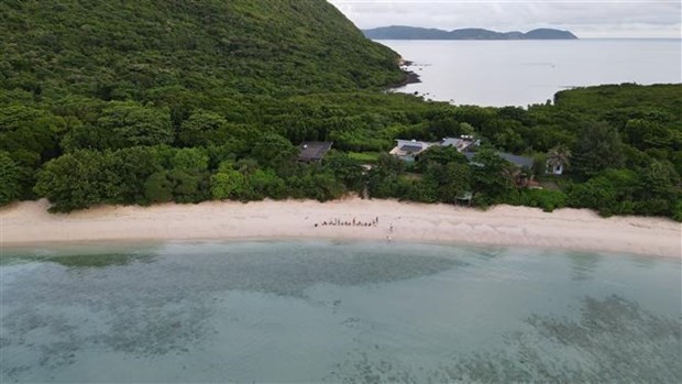 Near 123,000 sea turtles released back into ocean from Con Dao National Park