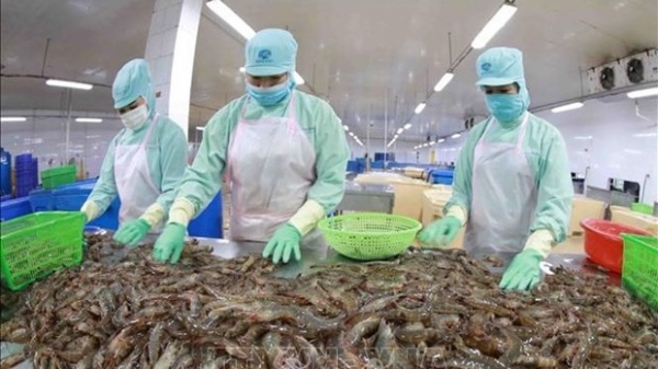 Export value of aquatic products up 38% in nine months: VASEP