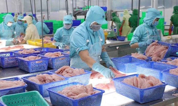 Export value of aquatic products up 38% in nine months: VASEP