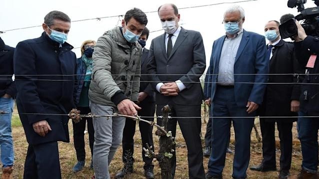 Pháp mạnh tay chi 1 tỷ Euro cho nông dân bị ảnh hưởng bởi tình trạng băng giá