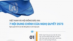 Việt Nam và Hội đồng Bảo an: 7 nội dung chính của Nghị quyết 2573
