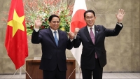 Việt Nam-Nhật Bản: Mối quan hệ có tiềm năng vô hạn