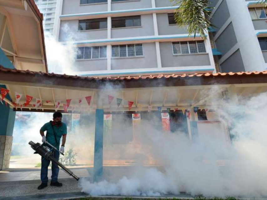 WHO: Singapore là "tấm gương sáng" trong việc xử lý dịch Zika