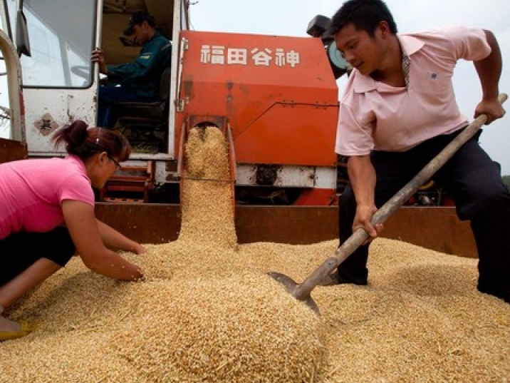Mỹ kiện Trung Quốc vì trợ giá nông sản
