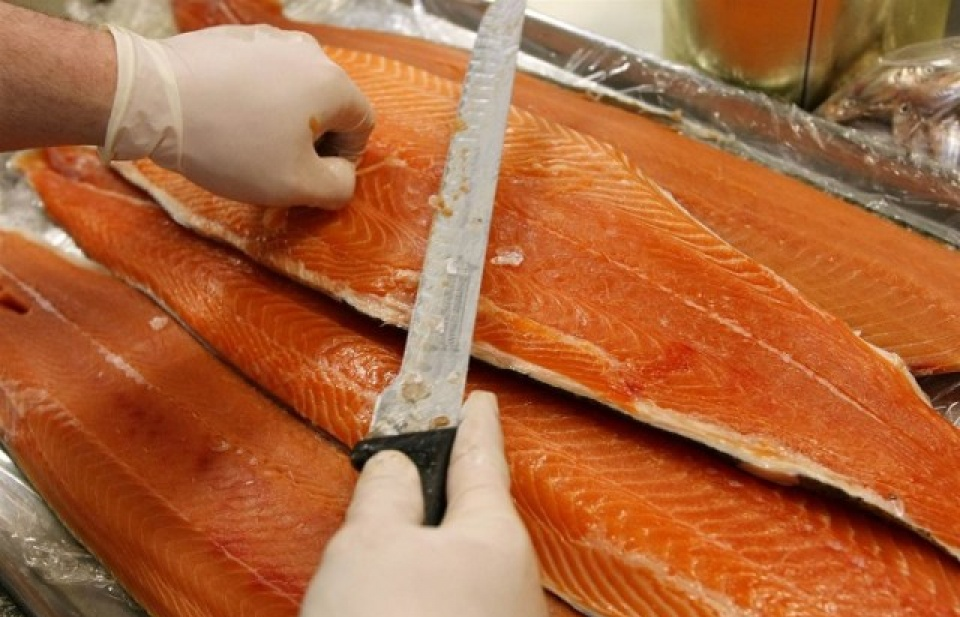 5 tấn cá hồi biến đổi gene của Canada đang trôi nổi trên thị trường