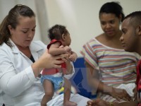 who chua cap phep su dung vaccine phong zika truoc nam 2020