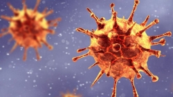 Biến thể mới của virus SARS-CoV-2 có đáng sợ?