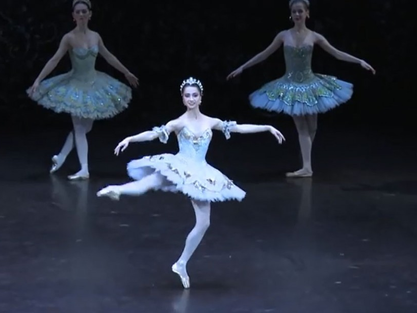 Những nghệ sỹ tham gia Chương trình “Paris - Ballet”