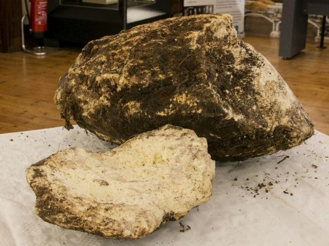 Tìm thấy tảng bơ 2.000 năm tuổi tại Ireland