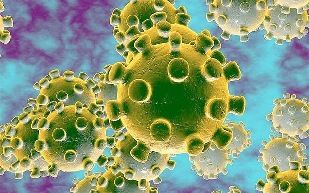 Chuyên gia Trung Quốc: Virus corona có nguy cơ lây truyền qua đường tiêu hóa