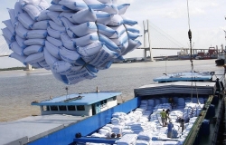 FTA - 'bệ đỡ' nâng tầm nông sản Việt Nam xuất khẩu