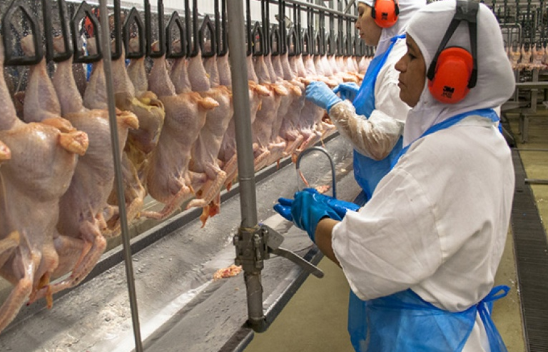 Thêm nhiều nước và vùng lãnh thổ cấm nhập khẩu thịt từ Brazil