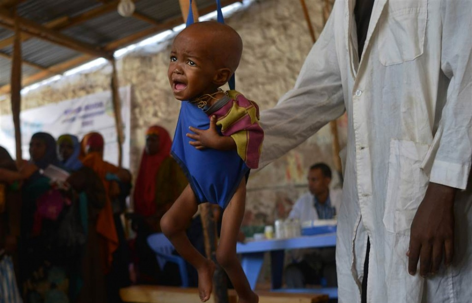 FAO bổ sung 29 triệu USD để hỗ trợ nạn đói ở Đông Phi