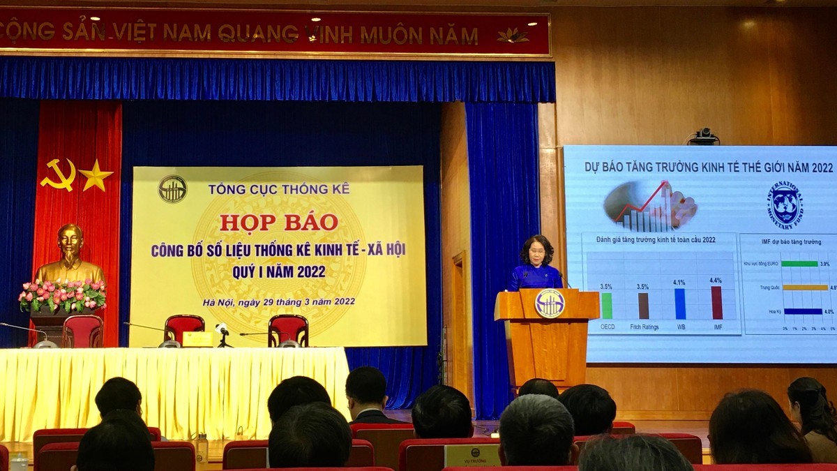 GDP Việt Nam 2022. Tổng cục trưởng Tổng cục Thống kê, Bộ Kế hoạch và Đầu tư Nguyễn Thị Hương phát biểu tại họp báo.