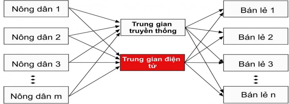 Chiến lược phát triển thị trường bền vững hàng nông sản Việt Nam