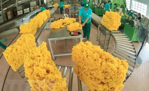 Rubber processing at Dau Tieng plantation in the southern province of Binh Duong. (Photo: VNA)